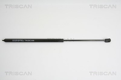 Triscan Gasfeder, Motorhaube [Hersteller-Nr. 871023110] für Mercedes-Benz von TRISCAN