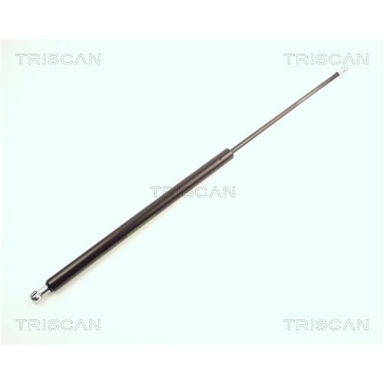 Triscan Gasfeder F?r Heckklappe Ford Fiesta Mazda 121 von TRISCAN