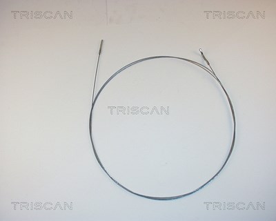 Triscan Gaszug [Hersteller-Nr. 814029313] von TRISCAN