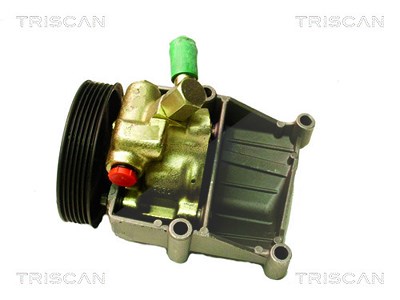 Triscan Hydraulikpumpe, Lenkung -AUSTAUSCHTEIL [Hersteller-Nr. 851516622] für Ford, Mazda von TRISCAN