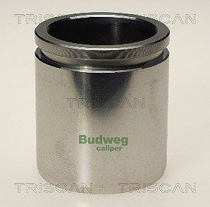 Triscan Kolben, Bremssattel [Hersteller-Nr. 8170234810] für Audi, Citroën, Dacia, Fiat, Jaguar, Land Rover, Peugeot, Renault, Toyota, Volvo von TRISCAN