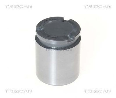 Triscan Kolben, Bremssattel [Hersteller-Nr. 8170234338] für Audi, Land Rover von TRISCAN