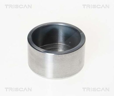 Triscan Kolben, Bremssattel [Hersteller-Nr. 8170232003] für Austin, Rover von TRISCAN