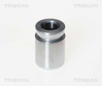 Triscan Kolben, Bremssattel [Hersteller-Nr. 8170233304] für BMW von TRISCAN