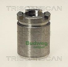 Triscan Kolben, Bremssattel [Hersteller-Nr. 8170233006] für Renault, Peugeot, Citroën von TRISCAN