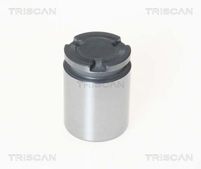 Triscan Kolben, Bremssattel [Hersteller-Nr. 8170233856] für VW, Volvo, Renault, Mg, Opel, Nissan, Mazda, Mercedes-Benz, Lancia, Jeep, Ford, Fiat von TRISCAN