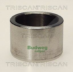Triscan Kolben, Bremssattel [Hersteller-Nr. 8170234602] für Daf, Ford, Land Rover, Ldv von TRISCAN