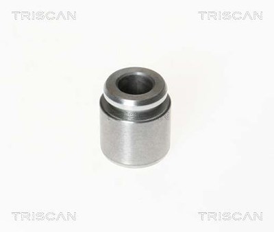Triscan Kolben, Bremssattel [Hersteller-Nr. 8170232801] für Audi, VW von TRISCAN