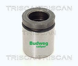 Triscan Kolben, Bremssattel [Hersteller-Nr. 8170234221] für BMW, Land Rover von TRISCAN