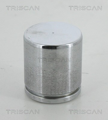 Triscan Kolben, Bremssattel [Hersteller-Nr. 8170234613] für Land Rover, Mercedes-Benz, VW von TRISCAN