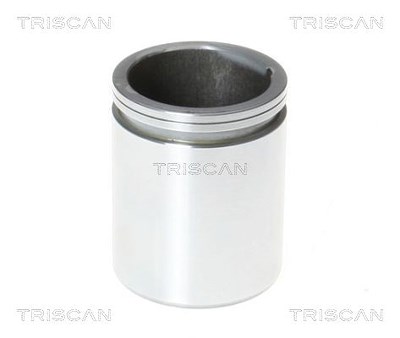 Triscan Kolben, Bremssattel [Hersteller-Nr. 8170234866] für Iveco, Mercedes-Benz, Nissan, VW von TRISCAN