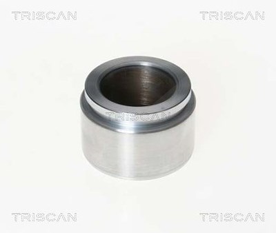 Triscan Kolben, Bremssattel [Hersteller-Nr. 8170234808] für Lada von TRISCAN