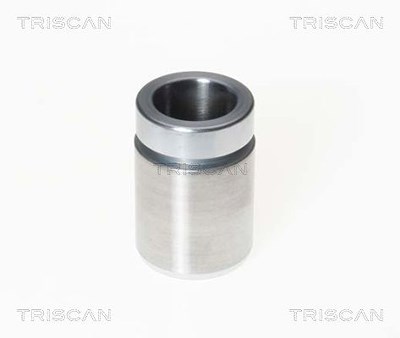 Triscan Kolben, Bremssattel [Hersteller-Nr. 8170233308] für Mercedes-Benz, Peugeot von TRISCAN