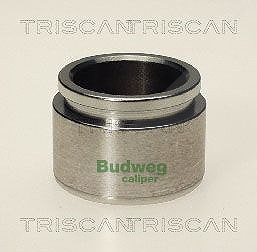 Triscan Kolben, Bremssattel [Hersteller-Nr. 8170234025] für Nissan, Subaru von TRISCAN