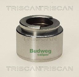 Triscan Kolben, Bremssattel [Hersteller-Nr. 8170234007] für Opel von TRISCAN