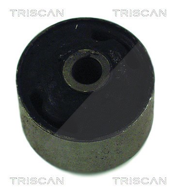Triscan Lagerung, Achskörper [Hersteller-Nr. 850029801] für Audi von TRISCAN