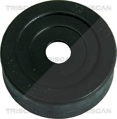 Triscan Lagerung, Achskörper [Hersteller-Nr. 850015806] für Fiat, Lancia von TRISCAN