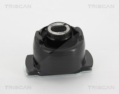 Triscan Lagerung, Achskörper [Hersteller-Nr. 850025822] für Renault von TRISCAN