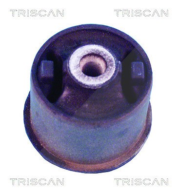 Triscan Lagerung, Achskörper [Hersteller-Nr. 850029850] für Seat, VW von TRISCAN