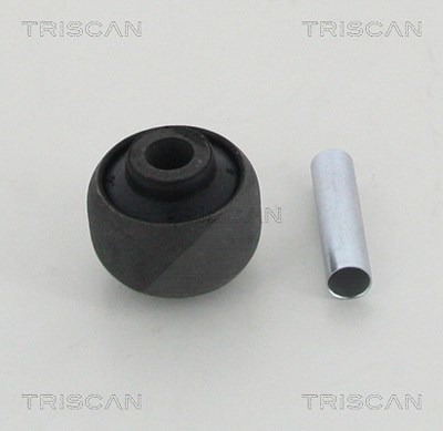 Triscan Lagerung, Lenker [Hersteller-Nr. 850029813] für Audi von TRISCAN