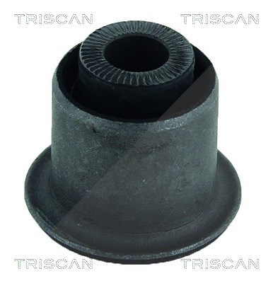 Triscan Lagerung, Lenker [Hersteller-Nr. 850025831] für Dacia von TRISCAN