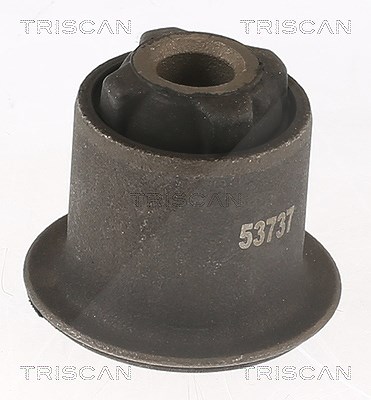 Triscan Lagerung, Lenker [Hersteller-Nr. 850025819] für Dacia, Renault von TRISCAN