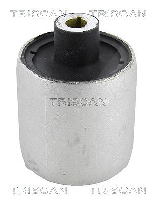 Triscan Lagerung, Lenker [Hersteller-Nr. 850011857] für BMW von TRISCAN