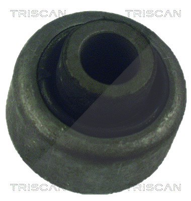 Triscan Lagerung, Lenker [Hersteller-Nr. 850025803] für Renault von TRISCAN