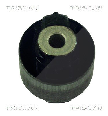 Triscan Lagerung, Lenker [Hersteller-Nr. 850025802] für Renault von TRISCAN