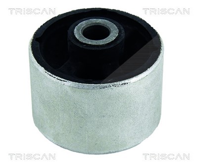 Triscan Lagerung, Lenker [Hersteller-Nr. 850025830] für Renault von TRISCAN