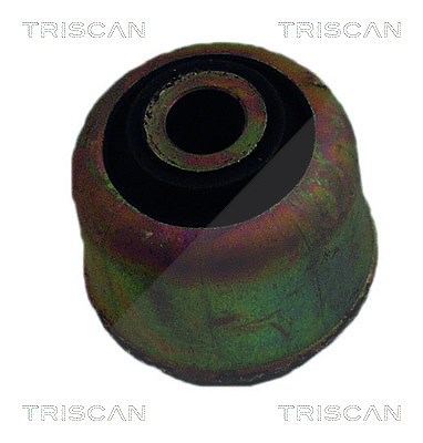 Triscan Lagerung, Lenker [Hersteller-Nr. 850025807] für Renault von TRISCAN