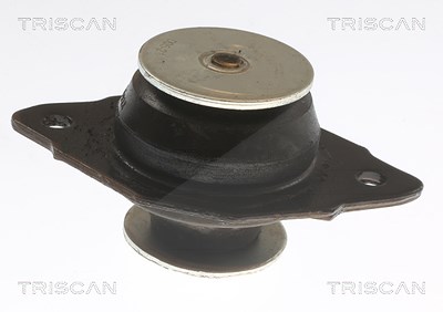 Triscan Lagerung, Motor [Hersteller-Nr. 850529144] für VW von TRISCAN