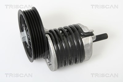 Triscan Riemenspanner, Keilrippenriemen [Hersteller-Nr. 8641293011] für Audi, VW von TRISCAN