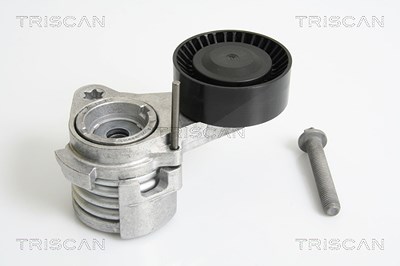 Triscan Riemenspanner, Keilrippenriemen [Hersteller-Nr. 8641113027] für BMW von TRISCAN