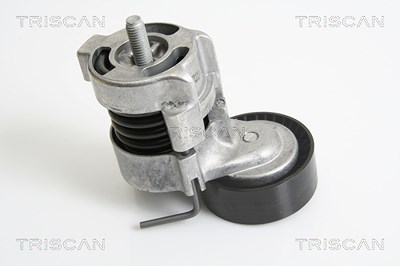 Triscan Riemenspanner, Keilrippenriemen [Hersteller-Nr. 8641113029] für BMW von TRISCAN