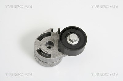 Triscan Riemenspanner, Keilrippenriemen [Hersteller-Nr. 8641283005] für Citroën, Ford, Mazda, Peugeot, Suzuki von TRISCAN