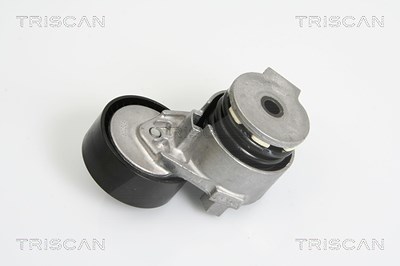 Triscan Riemenspanner, Keilrippenriemen [Hersteller-Nr. 8641253007] für Dacia, Nissan, Renault von TRISCAN