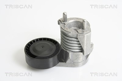 Triscan Riemenspanner, Keilrippenriemen [Hersteller-Nr. 8641103025] für Ford, Volvo von TRISCAN