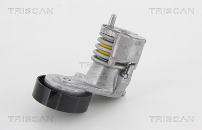 Triscan Riemenspanner, Keilrippenriemen [Hersteller-Nr. 8641103028] für Ford, Volvo von TRISCAN