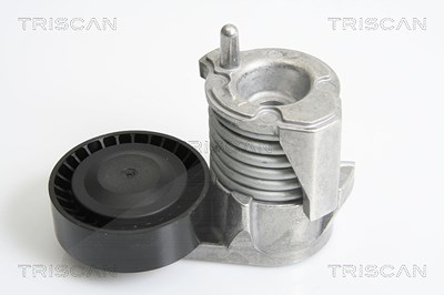 Triscan Riemenspanner, Keilrippenriemen [Hersteller-Nr. 8641103029] für Ford, Volvo von TRISCAN