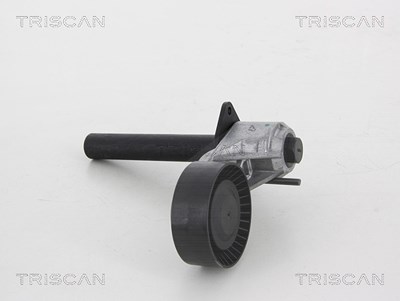 Triscan Riemenspanner, Keilrippenriemen [Hersteller-Nr. 8641113039] für BMW von TRISCAN