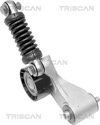 Triscan Riemenspanner, Keilrippenriemen [Hersteller-Nr. 8641103009] für Renault, Mitsubishi, Volvo von TRISCAN