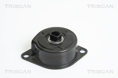 Triscan Riemenspanner, Keilrippenriemen [Hersteller-Nr. 8641293026] für Seat, Skoda, VW von TRISCAN