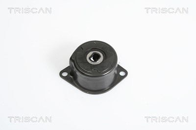 Triscan Riemenspanner, Keilrippenriemen [Hersteller-Nr. 8641293022] für VW von TRISCAN