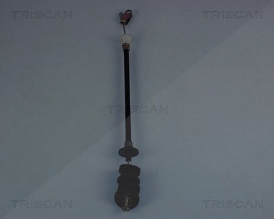 Triscan Seilzug, Kupplungsbetätigung [Hersteller-Nr. 814028202] für Peugeot von TRISCAN