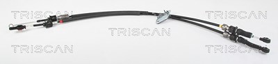 Triscan Seilzug, Schaltgetriebe [Hersteller-Nr. 814050701] für Mazda von TRISCAN