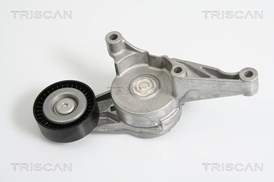 Triscan Spannarm, Keilrippenriemen [Hersteller-Nr. 8641293016] für Audi, Ford, Seat, Skoda, VW von TRISCAN