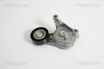 Triscan Spannarm, Keilrippenriemen [Hersteller-Nr. 8641293017] für Audi, Seat, Skoda, VW von TRISCAN