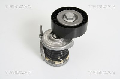 Triscan Spannarm, Keilrippenriemen [Hersteller-Nr. 8641293021] für Audi, Seat, Skoda, VW von TRISCAN