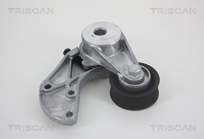 Triscan Spannarm, Keilrippenriemen [Hersteller-Nr. 8641293034] für Audi, Porsche, VW von TRISCAN